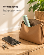 Brosse format poche glissée dans un sac à main