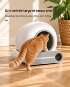 Chat roux entrant par l'ouverture large de 24,5 cm